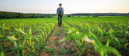Quand une mise en demeure de payer le fermage n’est pas retirée