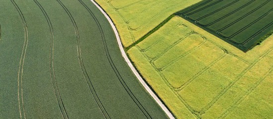 Échange de parcelles agricoles : les droits du locataire