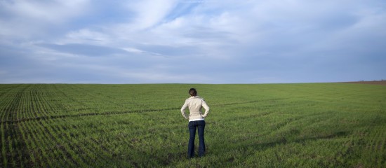 Exploitants agricoles : bénéfice d’une pension d’orphelin
