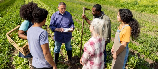 Les associations agricoles employeuses en 2024