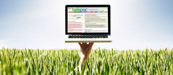 Exploitants agricoles : les modalités d’accès à Telepac sont simplifiées